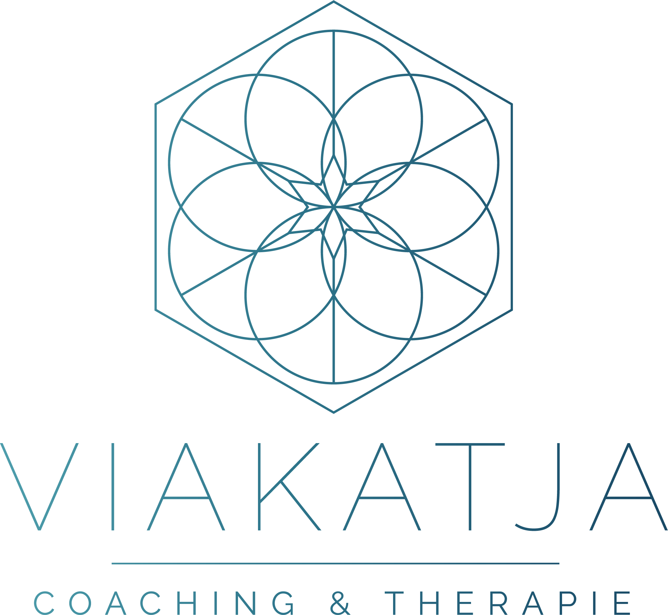 logo-viakatja-full-color