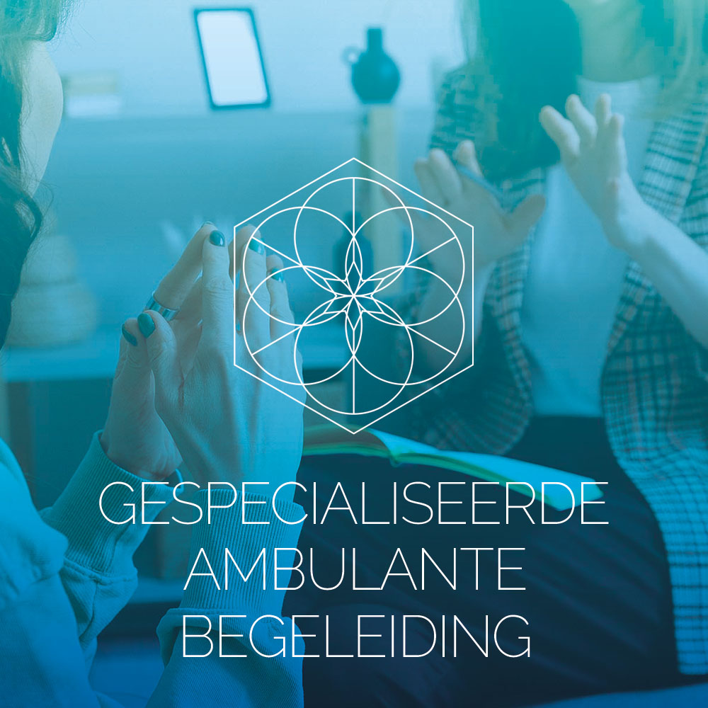mogelijkheden-gespecialiseerde-ambulante-begeleiding